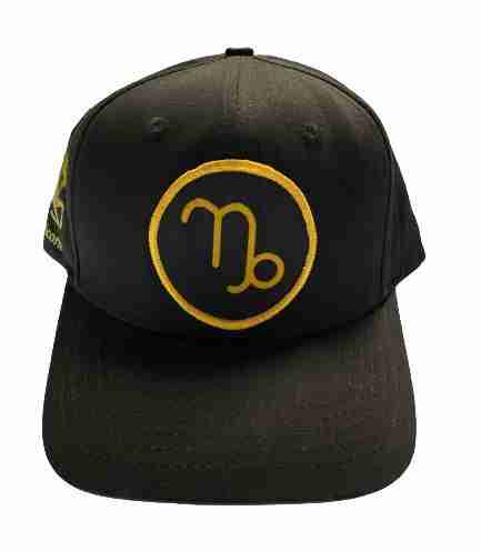 Capricorn Sign Snapback Hat