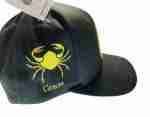Cancer Sign Snapback Hat