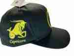 Capricorn Sign Snapback Hat
