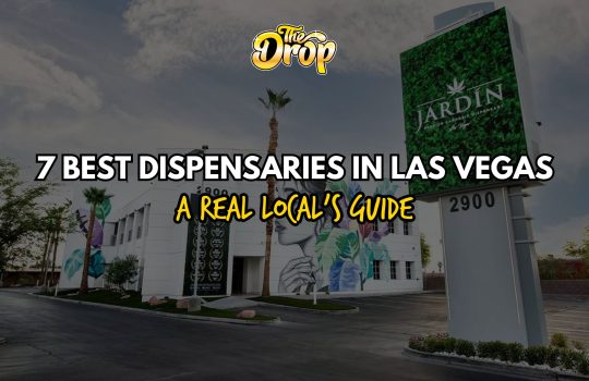 7 Best Dispensaries In Las Vegas | A Real Local's Guide