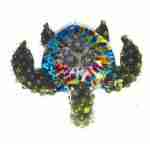Turtle Pendant