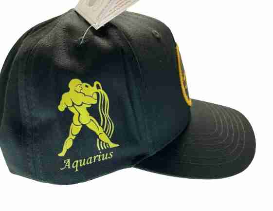 Aquarius Sign Snapback Hat