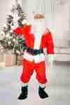 Deluxe Santa Claus Costume