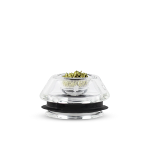 Proxy Flower Bowl