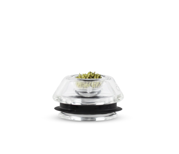 Proxy Flower Bowl