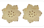 Blissidy's Nipple Covers- Athens