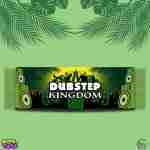 Dubstep Kingdom Pashmina