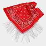 Rhinestone Like Fringe Cowgirl Bandana Scarf