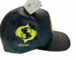 Pisces Sign Snapback Hat