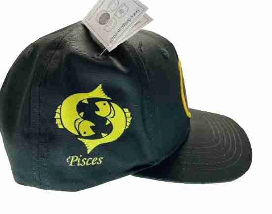 Pisces Sign Snapback Hat