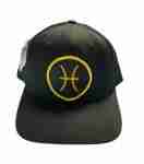 Pisces Sign Snapback Hat