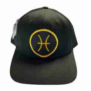 Pisces Sign Snapback Hat