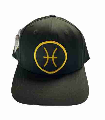Pisces Sign Snapback Hat