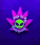 Take me to your dealer Pin