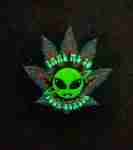 Take me to your dealer Pin
