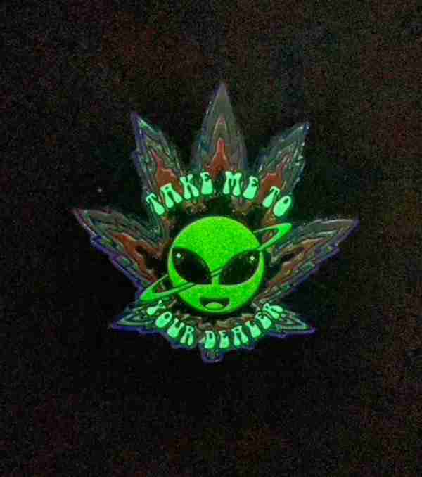 Take me to your dealer Pin