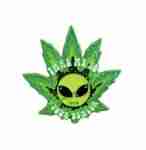Take me to your dealer Pin