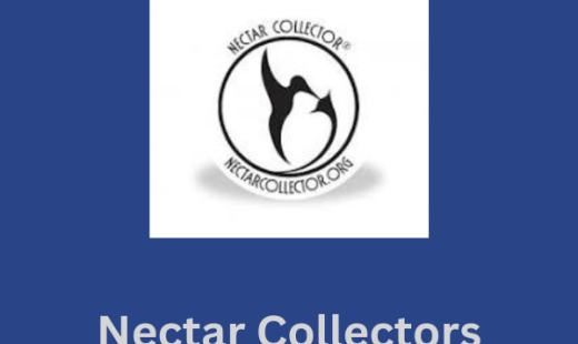 Nectar Collectors