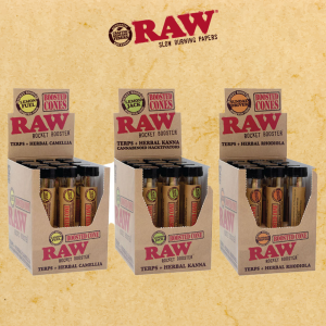 RAW Rocket Booster Boosted Cone