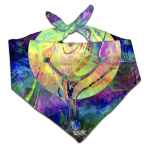Set4Lyfe Happy Fun Time Festival Bandana